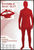 Red Lycra Second Skin Bodysuit, Fancy Dress, Sports Day, Shop online or instore at Singapore Charlie Cairns Australia.