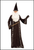 Men's Mr Wizard Costume, fantasy, medieval, magical dress-up. Shop online or instore at Singapore Charlie Cairns Australia.