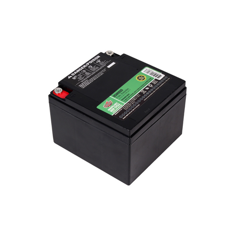 Amigo Power Shopper Battery Replacement Pack of 2 - Interstate Batteries 24V 26AH DCM0026