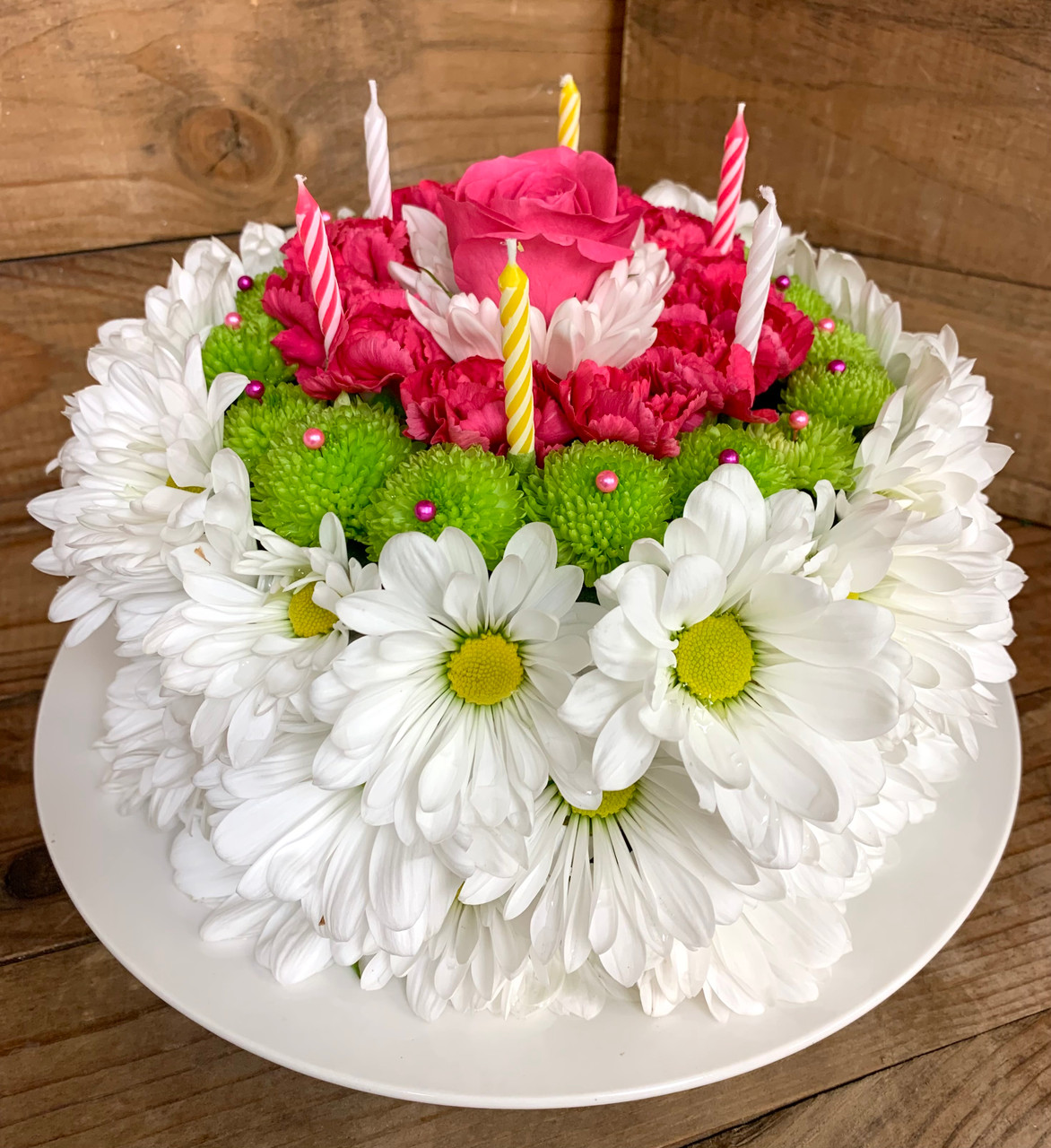 Order Money Plant N Chocolate Truffle Cake Combo Online, Price Rs.1195 |  FlowerAura