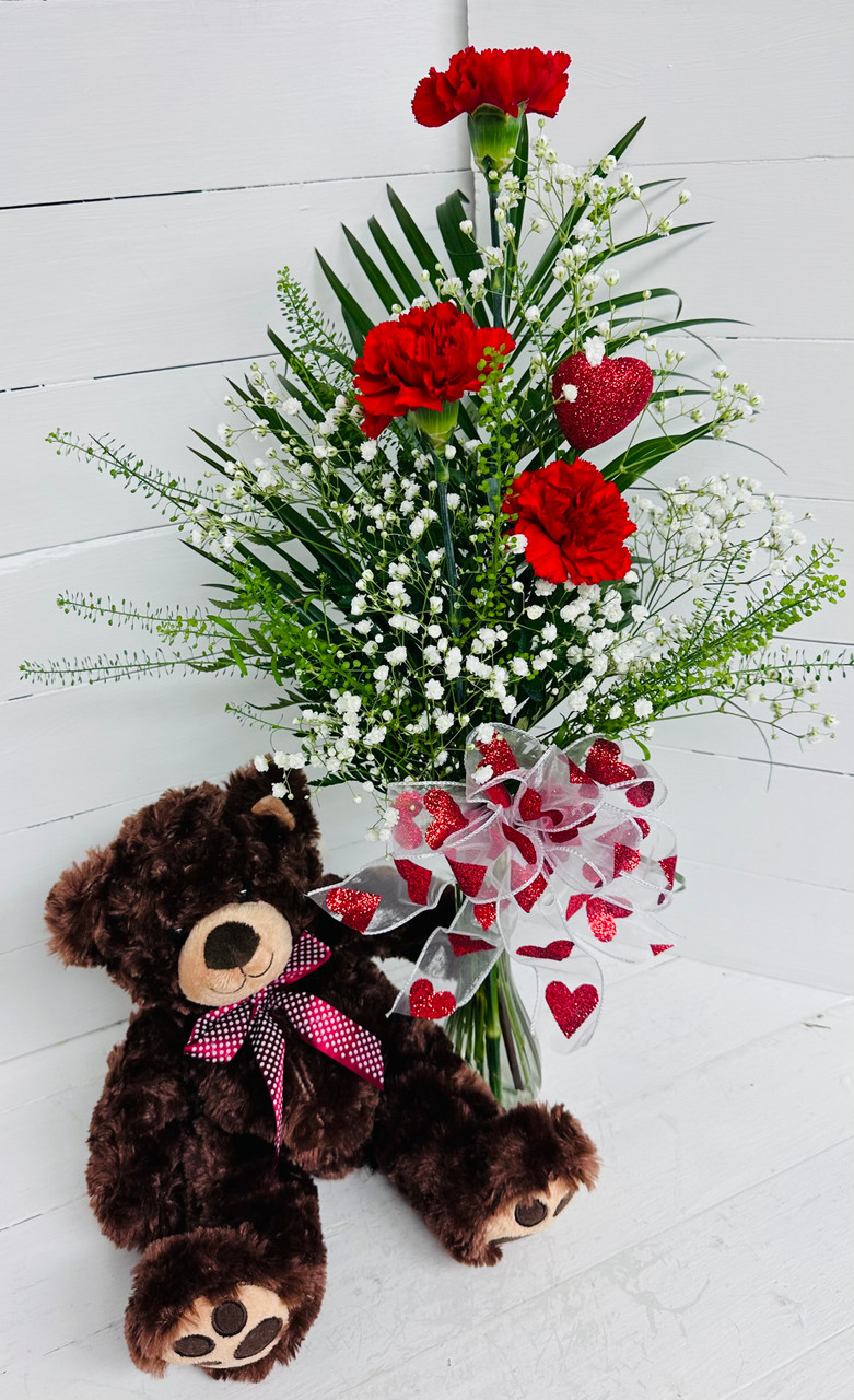 Carnation deals teddy bear