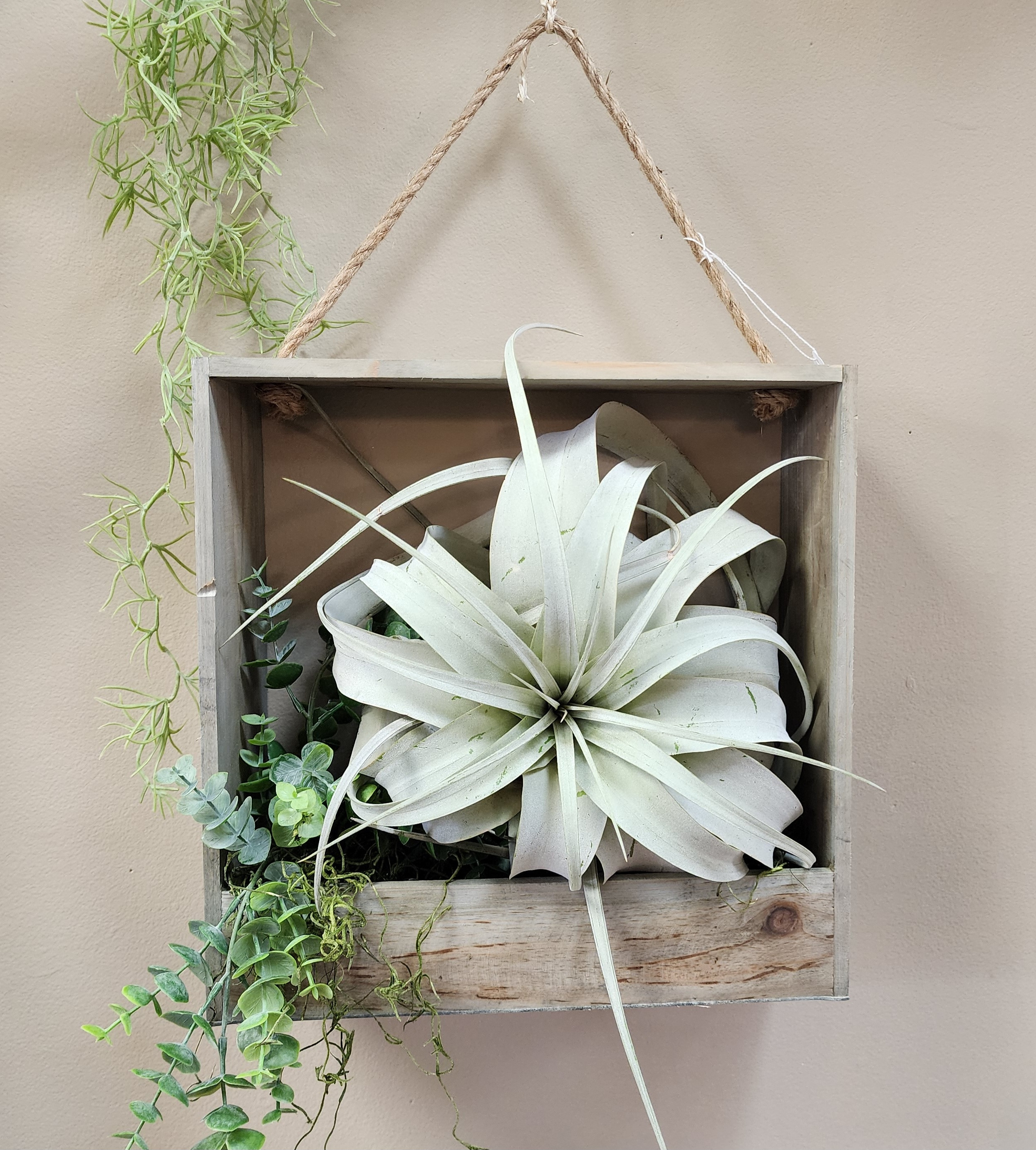 Hanging Wooden Terrarium Box Centerville Florists