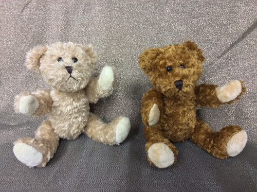 "Buttercup" or  "Caramel" Teddy Bear