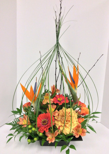 Tropical Birdcage Arrangement