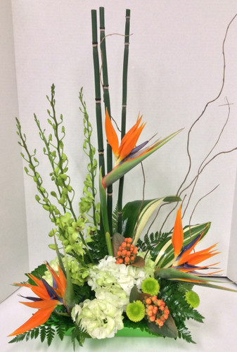 Tropical Birds and Green Orchid Arrangement