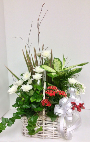 Peace and Light In Creams and Whites