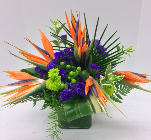 Birds in the Tropics Fresh Cube Arrangement