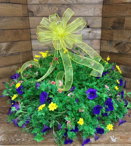 Plants - Page 1 - Centerville Florists