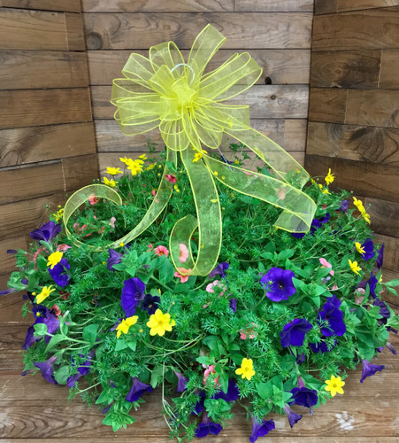 14" Blooming Combo Hanging Basket With Bow