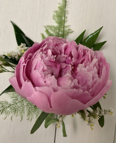 Beautiful Peony Boutonnière