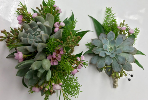 Succulent Wrist Corsage and Boutonniere Combo