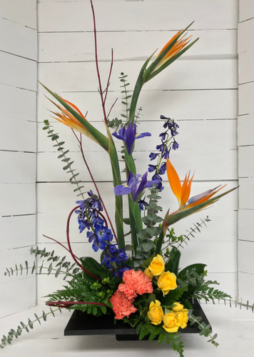 Contemporary Garden Arrangement