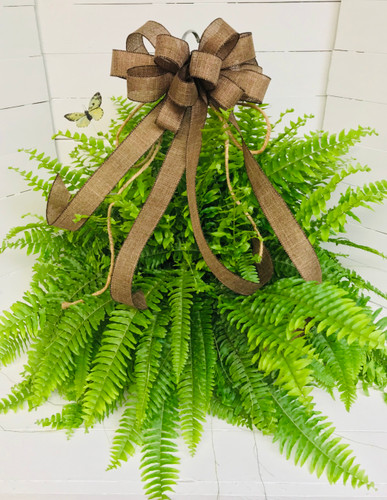 11" Hanging Basket with Boston Fern & Bow
