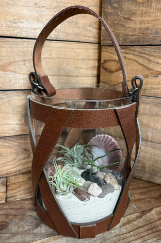 Lantern Style  Glass Terrarium with 3 Air-Plants