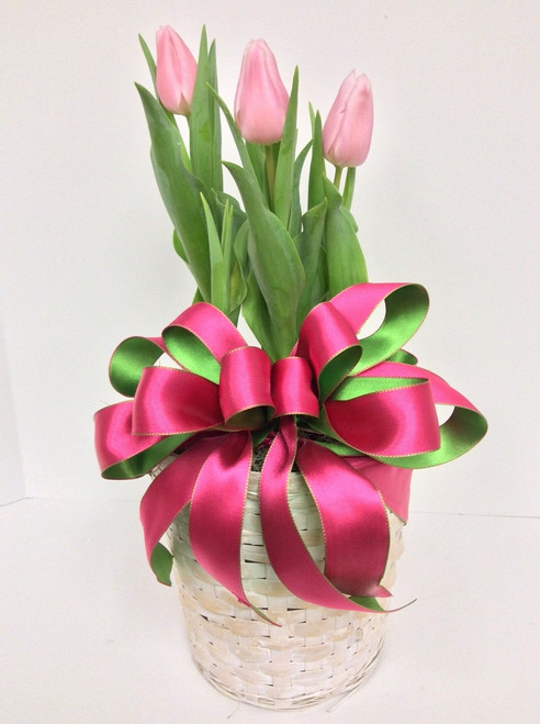 Bulb Tulips In a Whitewashed Basket With Bow