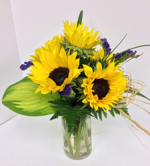 6 Sunflowers Arranged