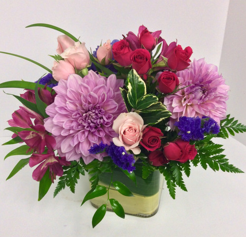 Dreamy Dahlia Delight Cube