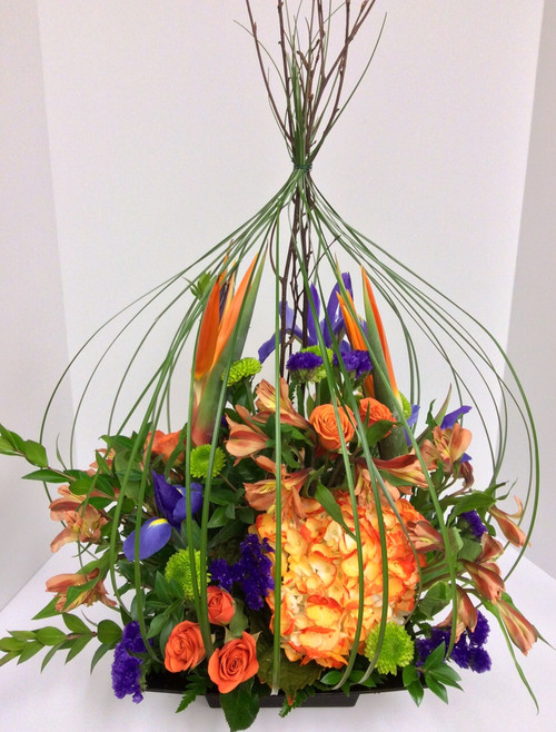 Stylish Bird Cage in Purples, Oranges, and Greens