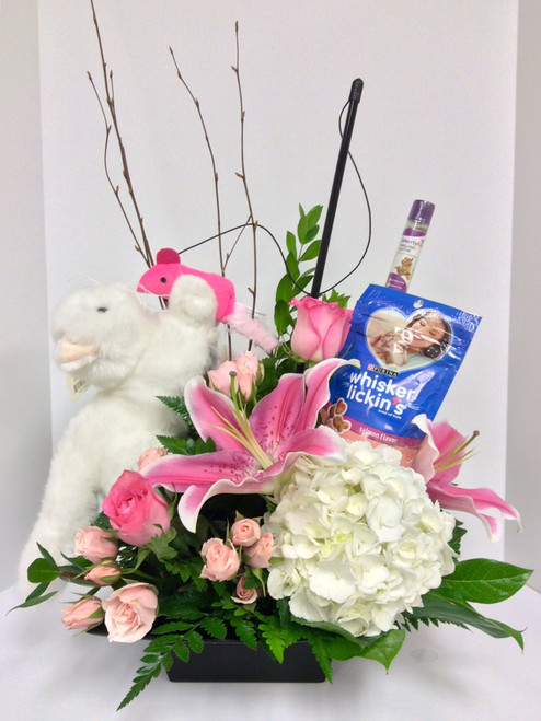 Cat Fanatic Fresh Arrangement with Plush Kitty, Treats, and Toys