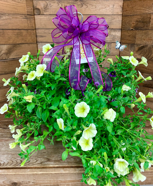 12" Blooming Combo Hanging Basket With Bow