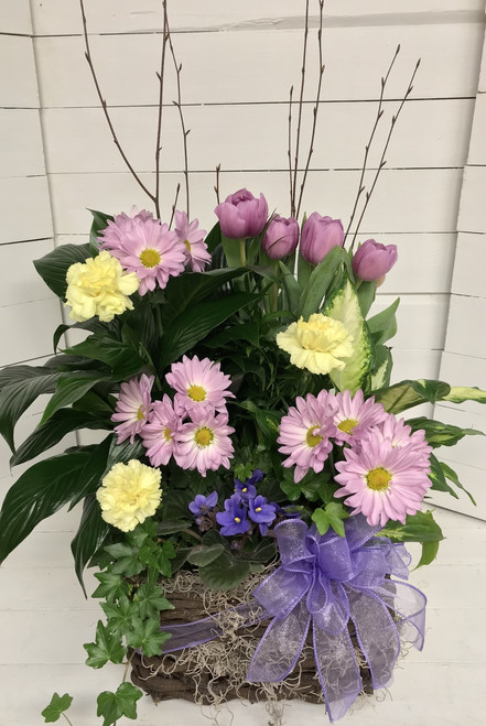 Mixed Planter with potted tulips and fresh cuts