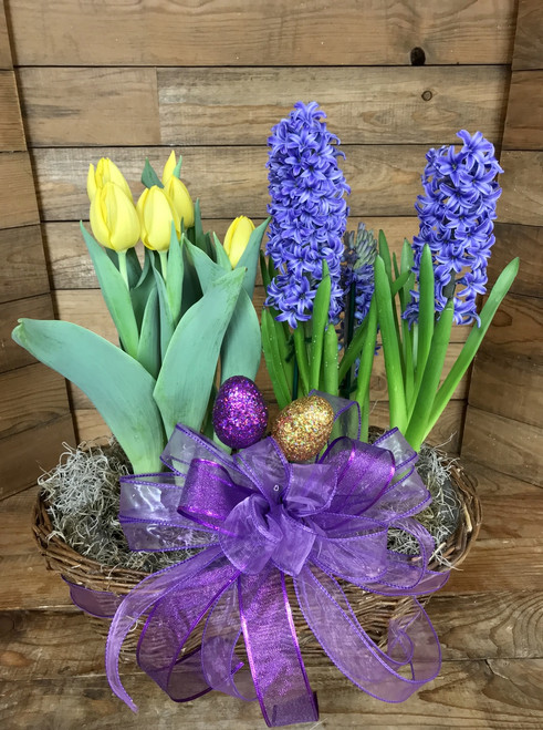 Potted Tulip and Hyacinth Double Basket With Easter Trim