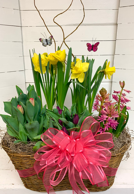 Extra Large Mixed Spring Bulb and Butterflies Garden Basket