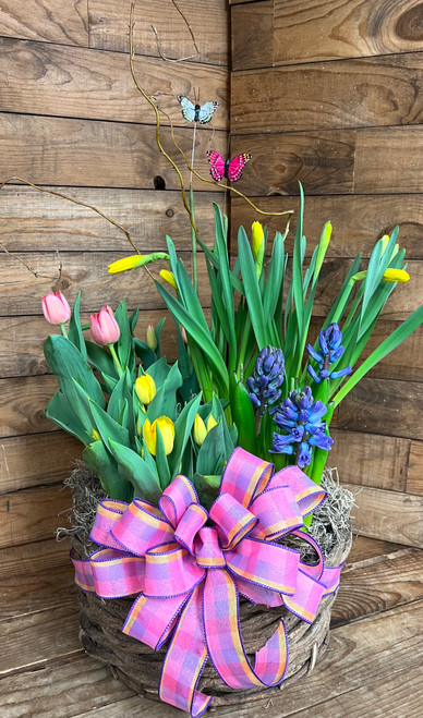 Vivid Spring Large Bulb Garden