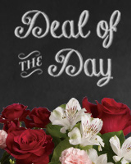 Designer's Choice Mixed Arrangement / Deal of The Day $50