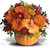 Country Pumpkin