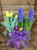 Potted Tulip and Hyacinth Double Basket With Easter Trim