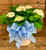 White Hydrangea Plant - 10" Pot