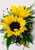 2 Bloom Mini Sunflower Corsage