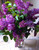 Fragrant Lilacs Fresh Vase