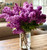 Fresh Lilacs Mason Jar