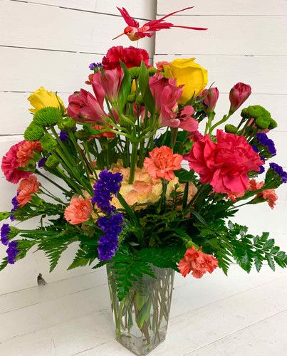 Vasi Da Vivaio - Garden Seeds Market | Spedizione Gratuita - Foto 12