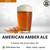 American Amber Ale | 5 Gallon GF Beer Kit | All-Grain