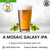 A Mosaic Galaxy IPA | 5 Gallon GF Beer Kit | Partial Mash A Mosaic Galaxy IPA | 5 Gallon GF Beer Kit | Partial Mash