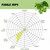 Fuggle Pellet Hops | 1 oz Fuggle Pellet Hops | 1 oz