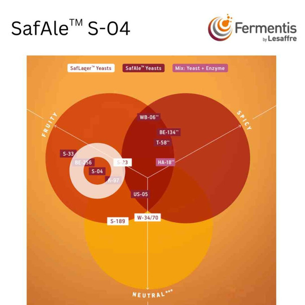 SafAle S-04 English Ale Yeast | 11.5 g