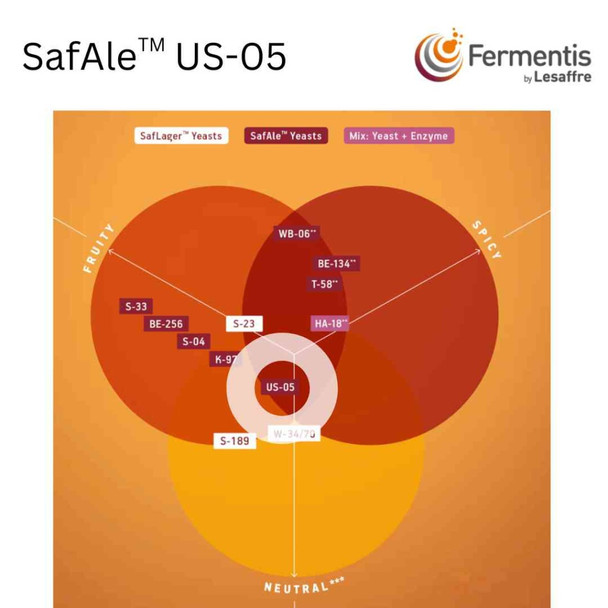 SafAle US-05 American Ale Yeast | 11.5 g