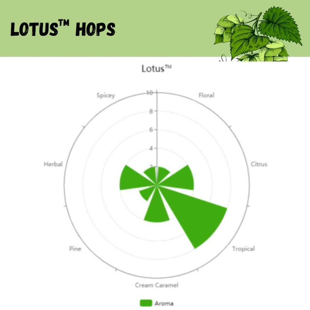 Lotus Pellet Hops | 1 oz