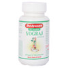 YOGRAJ GUGGULU 120 TAB ((Pack of 2)  |  By Baidyanath Jhansi  |  8.82 oz  |  0.55 lbs