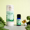 Basil (Sweet) Essential Oil ,100% Pure & Natural, Â FOR ACNE, WRINKLES, HAIR HEALTH, AIR-PURIFICATION, MENTAL CLARITY, 10ml | By Divine Aroma  |  0.34floz