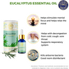 Eucalyptus Essential Oil, 100% Pure & Natural, FOR SKIN, HAIR, ANTI-VIRAL PROPERTIES, CLARITY OF MIND, RESPIRATORY CONGESTION, 10ml | By Divine Aroma  |  0.34floz