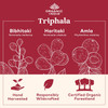 ORGANIC INDIA Triphala Capsules Organic - Herbal Supplement with Amla, Bibhitaki, Haritaki, Digestion & Colon Support, Immune System Support, Adaptogen, Vegan, USDA Certified Organic|180 caps|3.53 Oz ORGANIC INDIA Triphala Capsules Organic - Herbal Supplement with Amla, Bibhitaki, Haritaki, Digestion & Colon Support, Immune System Support, Adaptogen, Vegan, USDA Certified Organic|180 caps|3.53 Oz