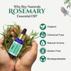 Rey Naturals Rosemary Essential Oil|15 ml