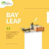 Mittal Organics - Organic Bay Leaf/Tej Patta - 100 gm X 2 (Pack of 2)|7.04Oz|0.44lbs