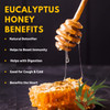 Nutty Yogi Eucalyptus Honey 500 Gm, 100% Natural, Fresh from Forests, Healthy & Delicious, No Artificial Color/Flavour | 100% Pure Wild Forest Organic Honey|17.6Oz|1.1lbs
