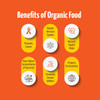 Pro Nature 100% Organic Turmeric Powder, 500g|3.52Oz|0.22lbs